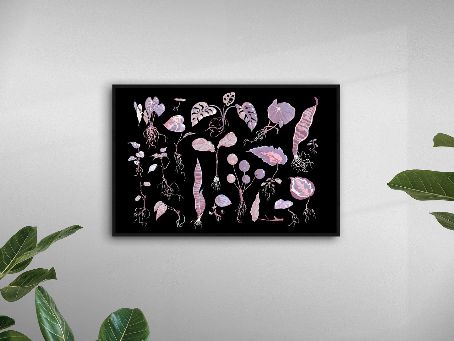 Propagation