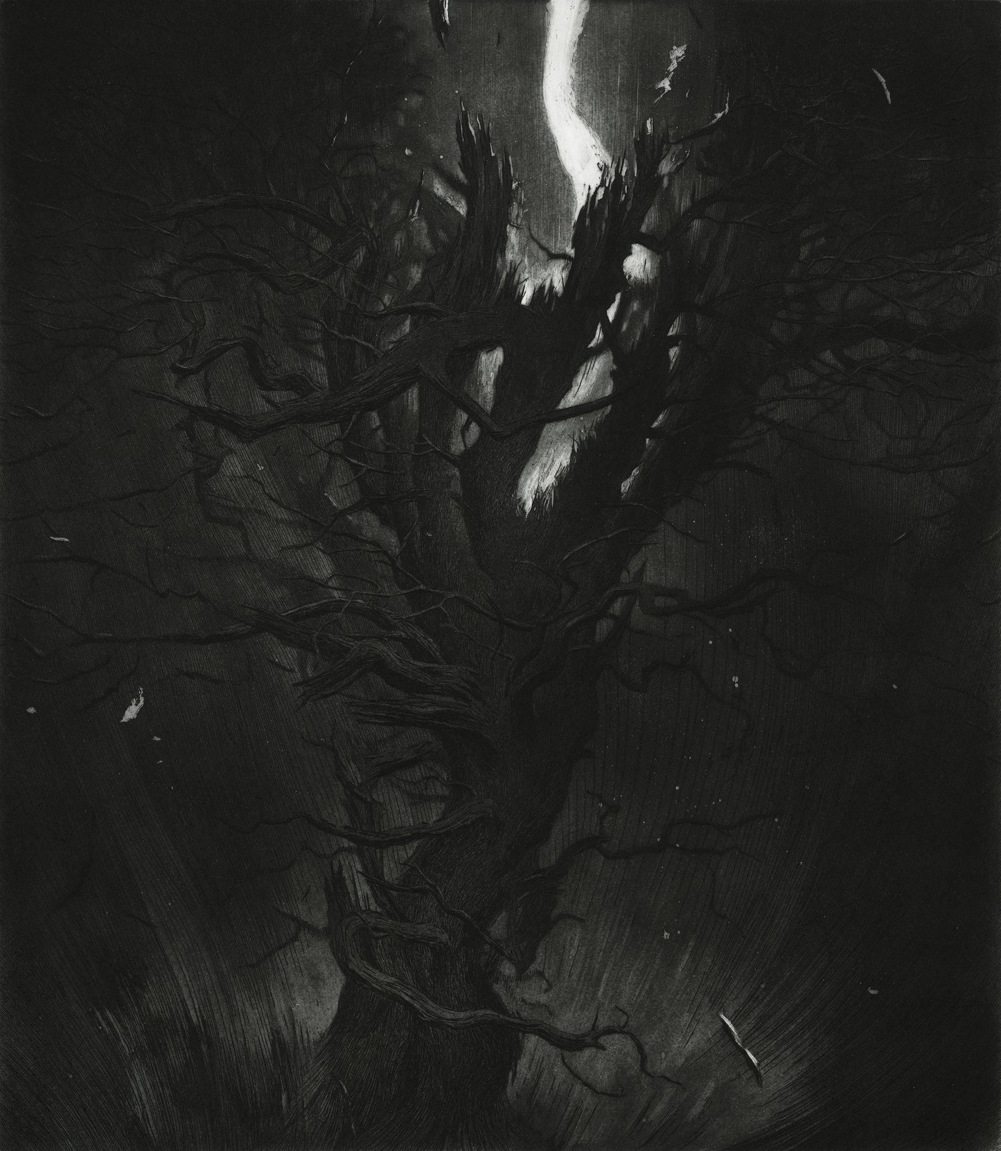 The Old Pine