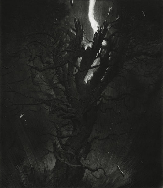 The Old Pine
