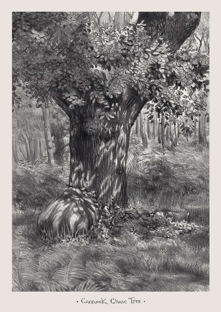 Cannock Chase Tree