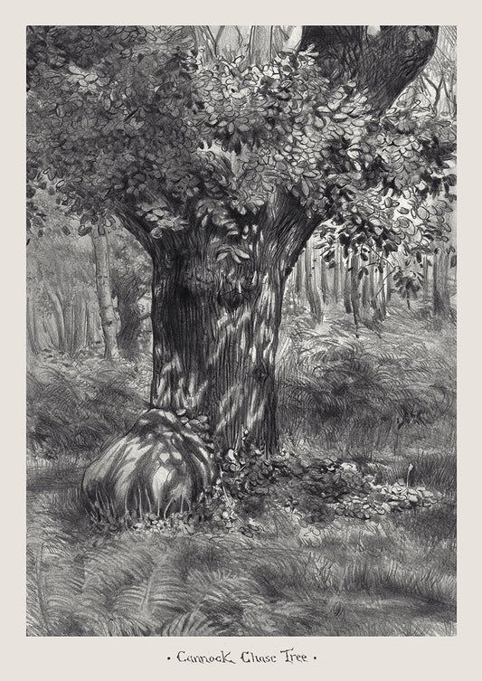Cannock Chase Tree