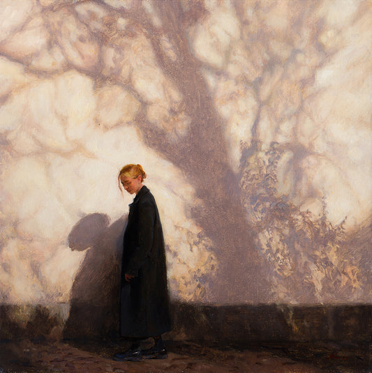 Where the Light Falls