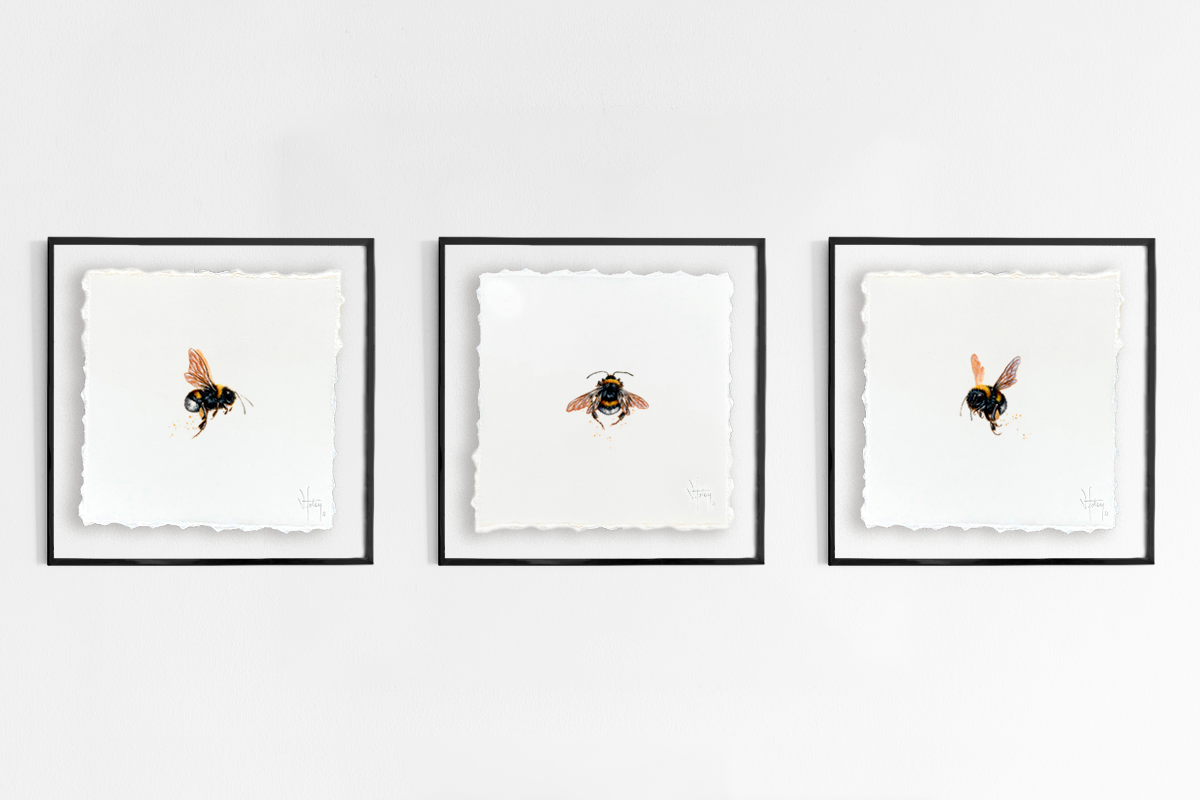 Bumble Bees (Set)